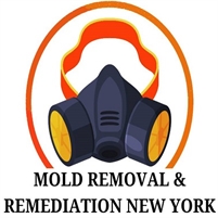  Mold Removal & Remediation New York - Bronx