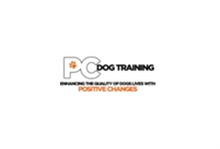Positive Changes Dog Training Positive Changes Dog Training